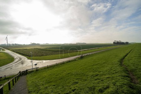 Foto de Un campo agrícola en Noardeast-Frysln, Países Bajos con gansos. - Imagen libre de derechos