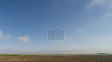 Photo for An agricultural field in Noardeast-Frysln, Netherlands with geese. - Royalty Free Image