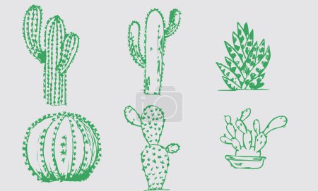 jeu de dessin de cactus vecteur vert
