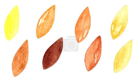 Photo for Watercolor Set with Grains of Wheat and Rye. Cereal Seeds In Yellow And Brown Colors - Royalty Free Image