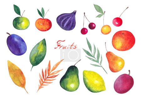 Set de acuarelas con frutas sobre fondo blanco. Bayas Clipart, cítricos y manzanas