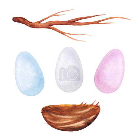 Set with Pastel Colored Watercolor Eggs with a Nest and a Tree Branch. Clip Art with Egg and Bird's Nest. Elements for Scrapbooking