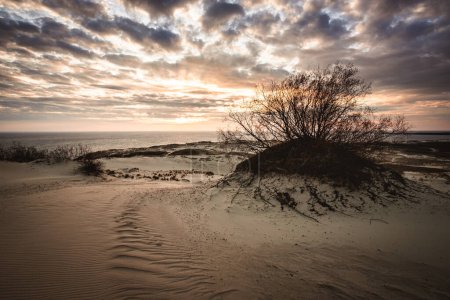 Dune de sable de Parnidis au coucher du soleil. Broche curonienne, ville de Nida, Lituanie.