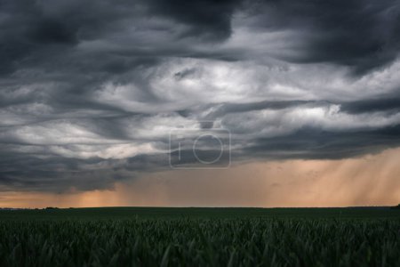 Foto de Nubes de tormenta en los campos. El tiempo pronosticó foto para truenos y lluvia - Imagen libre de derechos