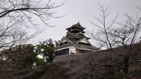 Téléchargez les photos : Kumamoto, Japon - 26.01.2020 : Tourelle Uto-yagura au château de Kumamoto sur un mur de pierre entouré de branches d'arbres en hiver sous un ciel nuageux - en image libre de droit