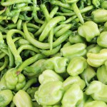 hhealthy food natural background of fresh green pepper