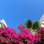 beautiful facades of white apartments with balconies in the form of a ship against a background of blue sky and pink bougainvillea flowers