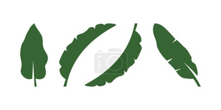 Illustration for Collection of vector banana leaf designs, banana leaf vector - Royalty Free Image