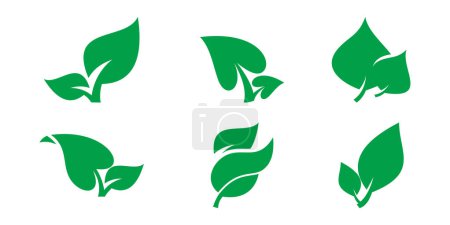 leaf icon, vector set of green leaves on white background