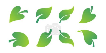 Illustration for A collection of green leaves on a white background - Royalty Free Image