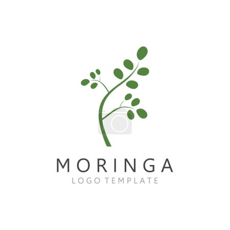 Ilustración de Icono verde natural de la hoja de Moringa aislado sobre fondo blanco. - Imagen libre de derechos