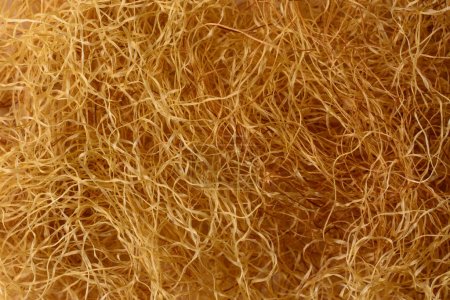 Photo for Corn silk made from stigmas, stigma maydis, natural yellow thread like strands fiber used as herbal medicine, background texture, macro taken in shallow depth of field - Royalty Free Image