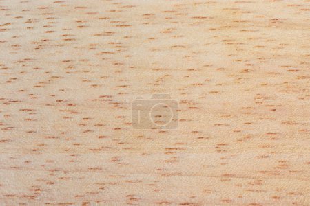 Photo for Close-up macro view of rubber wood surface, environmentally friendly treated hardwood background texture, wood grain and porous are visible - Royalty Free Image