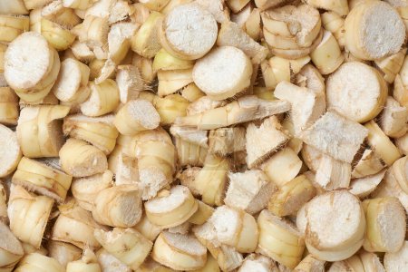 getrocknete organische Pfeilwurzelrhizome, die zu Pulver verarbeitet werden, Maranta Arundinacea, tropische Pflanze, die für stärkehaltige Rhizome bekannt ist, die für verschiedene kulinarische Zwecke geerntet und als glutenfreie Alternative verwendet werden