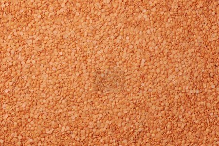 red lentils or masoor dal, legume commonly used in cooking in indian, middle eastern and other south asian cuisines, reddish orange color vegetable in full frame food background, taken from above