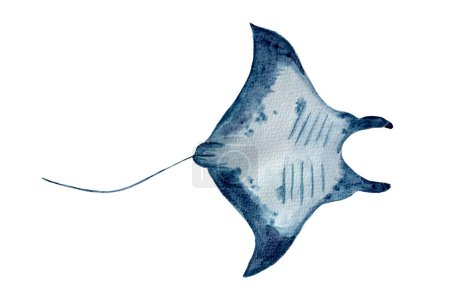 Watercolor high quality hand-drawn manta ray isolated on white. High quality monochromatic illustration for notebooks, posters, wallpaper, tote bags, cards, eco, tourism, room decor and design.