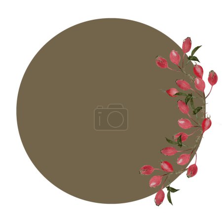 Photo for Rose hip sprig watercolor round frame isolated on white. Hand drawn high quality art with wild edible forest plants in simple flat style for woodland designs, cards, label, logo, food packages design - Royalty Free Image