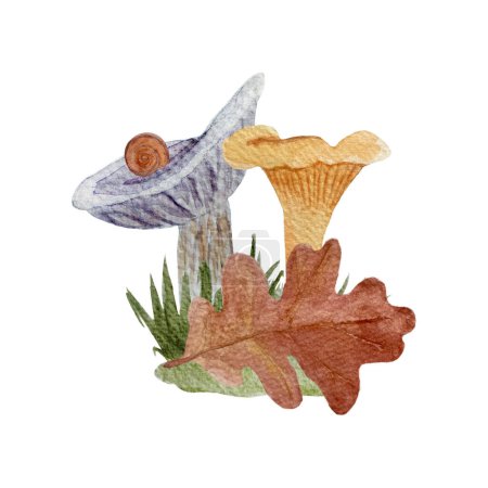 Champignons Pfifferlinge, Collybia nuda Aquarellkomposition isoliert auf weiß. Handgezeichnete Kunst mit essbaren Waldpflanzen im einfachen flachen Stil für Waldkinder, beschriften Lebensmittelverpackungen.