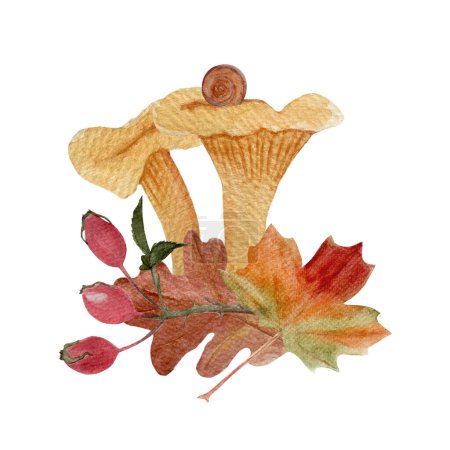 Wilde Pfifferlinge Pilze mit Herbstblättern Hagebutten-Aquarell-Komposition isoliert auf weiß. Handgezeichnete Kunst mit essbaren Waldpflanzen. Einfaches flaches Design für Waldkinder, Pakete.