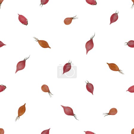 Rose-hip watercolor seamless pattern isolated on white. Hand drawn high quality dot pattern. Wild edible forest plant in a simple flat style for woodland designs, wrapping paper, textile and packages.