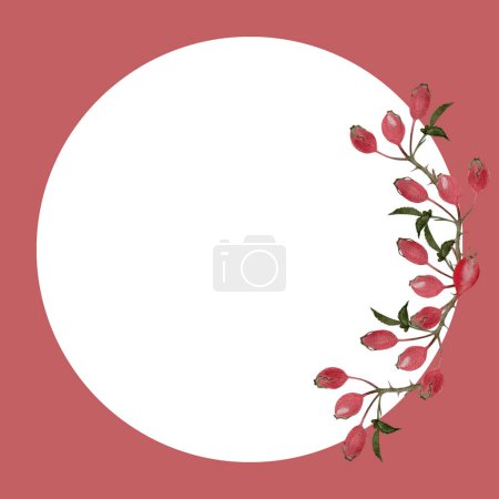 Rose hip sprig watercolor round frame isolated on white. Hand drawn high quality art with wild edible forest plants in simple flat style for woodland designs, cards, label, logo, food packages design