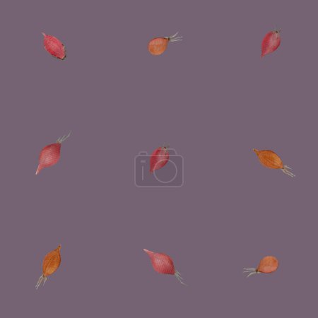 Rose-hip watercolor seamless pattern isolated on muted purple background. Hand drawn dot pattern. Wild edible forest plant in a flat style for woodland designs, wrapping paper, textile and packages.