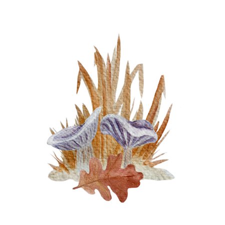 Wilde Pilze Collybia nuda Aquarellkomposition isoliert auf weiß. Handgezeichnete hochwertige Kunst mit essbaren Waldpflanzen im einfachen flachen Stil für Waldkinder, beschriften Lebensmittelverpackungen.