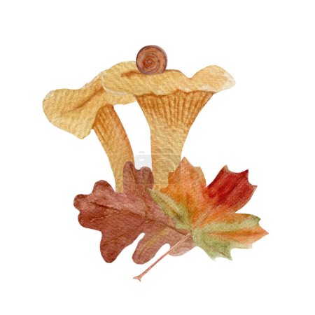 Téléchargez les photos : Champignons chanterelles sauvages avec feuilles d'automne, composition aquarelle d'escargot isolé sur blanc. Art dessiné à la main avec des plantes forestières comestibles sauvages dans un style plat pour les dessins d'enfants des bois, étiquette, emballages - en image libre de droit
