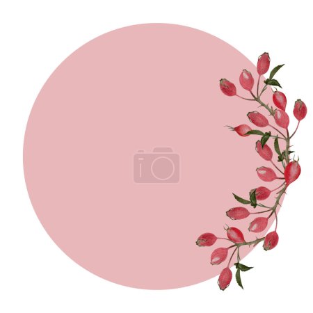 Photo for Rose hip sprig watercolor pink round frame isolated on white. Hand drawn high quality art with wild edible forest plants in simple flat style for woodland designs, cards logo, food packages design. - Royalty Free Image
