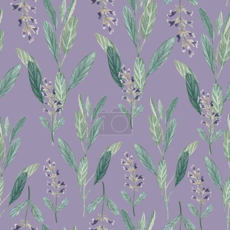 Sage plant seamless pattern on pastel purple background. Hand painted in watercolor. High quality illustration for packages of an essential oil, oil infusions, tea, wallpaper, wrapping paper, textile.