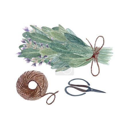 Bunch of sage wild herb, jute rope and scissors watercolor set isolated on white. High quality hand painted illustration for cards, packages, oil infusions, herbal medicine recipes, guides design.