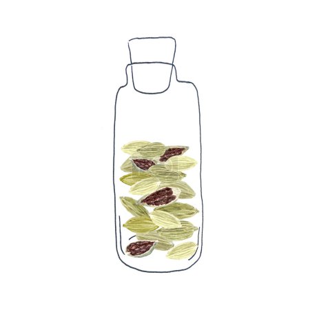 Kardamomschoten in einem Glas Aquarellkunst isoliert auf weiß, handgezeichnet im einfachen Stil für die Gestaltung von Lebensmitteln. Grüne Schoten mit detaillierter Konsistenz, von denen einige offen sind, um Samen im Inneren zu zeigen. Ideal für den kulinarischen Einsatz, Logo.