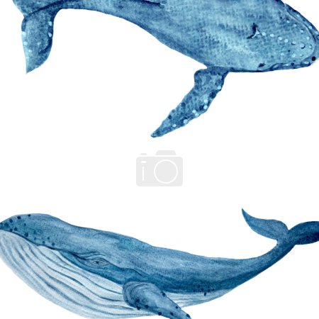 Téléchargez les photos : Cadre baleine bleu dessiné à la main à l'aquarelle isolé sur blanc. Illustration monochrome bleue de haute qualité pour carnets, affiches, cartes, souvenirs de mer, éco, tourisme, océanarium, décor de chambre et logo. - en image libre de droit