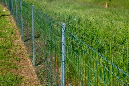 Grenzzaun auf einem Feld mit verzinktem Stahlmast und elektrogeschweißtem rechteckigem Maschengewebe. Grundstücksgrenzen sind mit Masten und Netzen abgegrenzt.