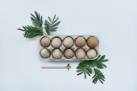 Téléchargez les photos : Natural chicken eggs in a paper egg holder decorated with a green branches on a white background. Top view - en image libre de droit