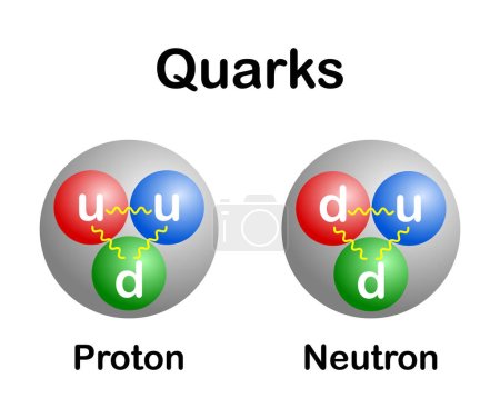 vector illustration of up and down quarks in proton and neutron on white background