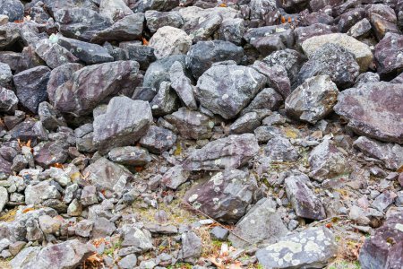 Foto de Primer plano de rocas con varias texturas, colores y patrones. Las rocas simbolizan fuerza, estabilidad y resistencia, mientras que sus texturas representan la complejidad y diversidad de la naturaleza - Imagen libre de derechos
