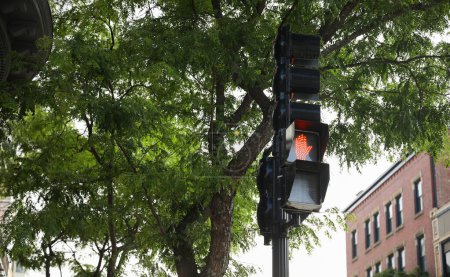 Foto de Semáforo con señales de tráfico, mostrando los colores rojo, verde y amarillo. El cartel indica la seguridad de los peatones y el flujo de la vida urbana - Imagen libre de derechos