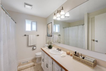 Téléchargez les photos : Intérieur d'une salle de bain avec un miroir et un lavabo blanc - en image libre de droit