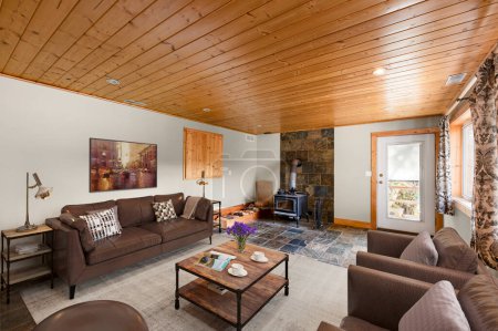Téléchargez les photos : Salon de luxe intérieur avec cheminée, mobilier et canapé confortable - en image libre de droit