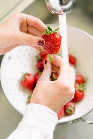 Photo for High angle of unrecognizable female with manicure and fresh strawberry in hands washing healthy red berries in chrome sink during cooking breakfast - Royalty Free Image