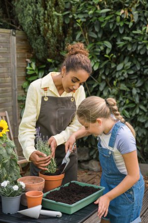 Photo for Young female gardener in apron and gloves, pre-teen girl with long blond hair in casual clothes planting seedlings into pots while working in garden - Royalty Free Image
