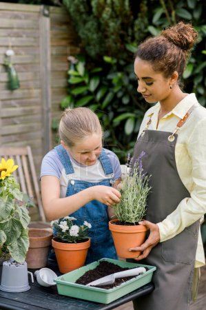 Photo for Young afro American woman in apron and girl 10-12 yrs in casual clothes standing near table with potted plants while working in greenhouse, spending time together. - Royalty Free Image