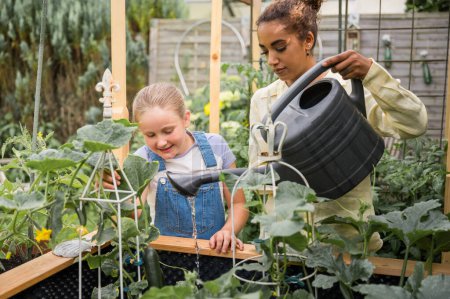Photo for Young afro American woman and girl in casual clothes are gardening at the family eco-farm. Raise love and care for nature and the planet from childhood. Cute little girl watering vegetables. - Royalty Free Image