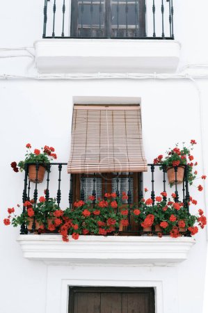 Foto de Edificio blanco con balcón con flores, Geranios rojos en un balcón en Vejer de la Frontera, Andalucía, España, Viajes y concepto de vacaciones - Imagen libre de derechos