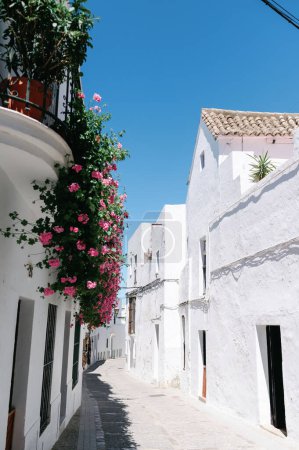 Photo for Vertical photo of White-Washed buildings, Street of Andalusian Village in Vejer de la Frontera, Costa de la luz, visit a Spanish town on a sunny day in spring, summer, autumn travel concept - Royalty Free Image