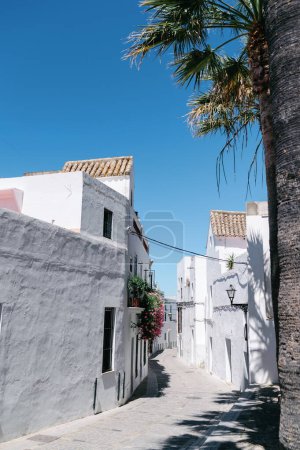 Photo for A peaceful street lined with whitewashed houses and a palm tree under the clear blue sky in a Spanish village, travel and holiday concept - Royalty Free Image