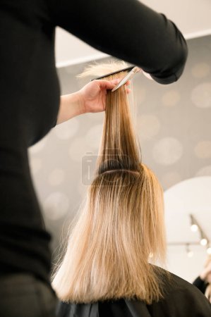 Téléchargez les photos : Coiffeur professionnel coupant les cheveux des femmes dans le salon, vue de dos. concept beauté et soins capillaires - en image libre de droit