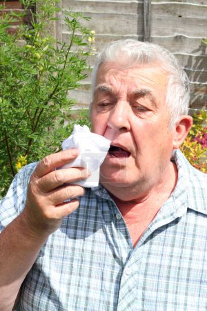 Photo for Close up of an elderly or senior man sneezing or coughing. Virus or hay fever. - Royalty Free Image