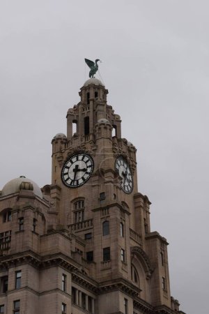 Téléchargez les photos : Liverpool, Merseyside, Royaume-Uni - 12 mars 2023 : Gros plan sur l'emblématique bâtiment du foie classé 1ère année de Liverpool, des Trois Grâces protégées, situé à la tête de la jetée le long de la rivière Mersey - en image libre de droit